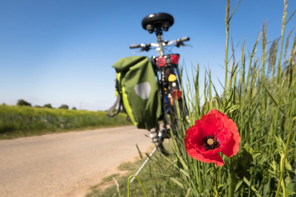 cycling, poppy, leisure
